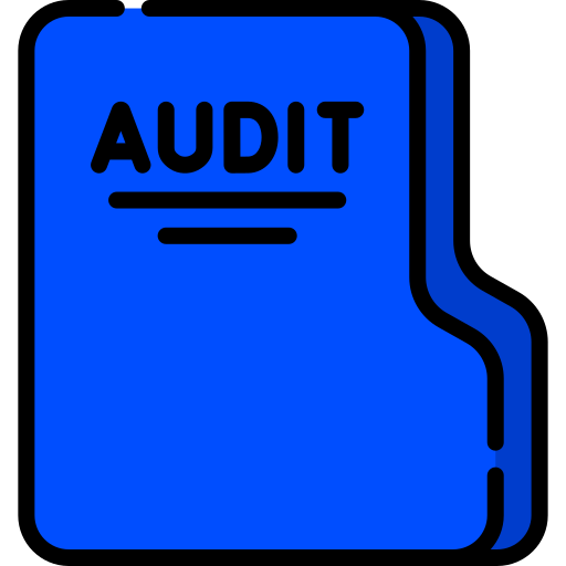 Audit objectives icon conor bradley digital agency