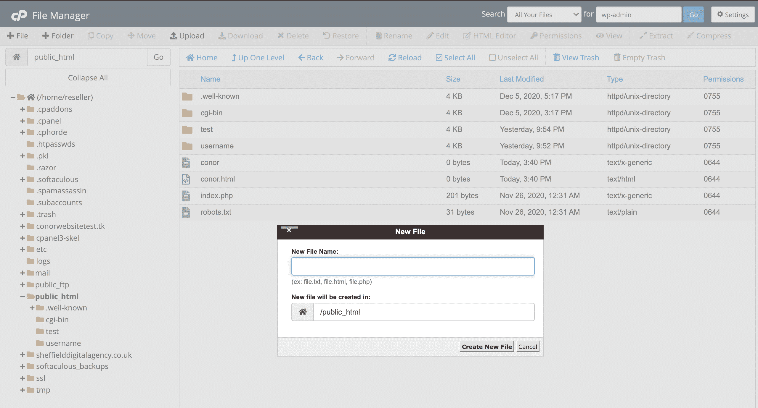 Creating new files in cpanel file manager screenshot conor bradley digital agency