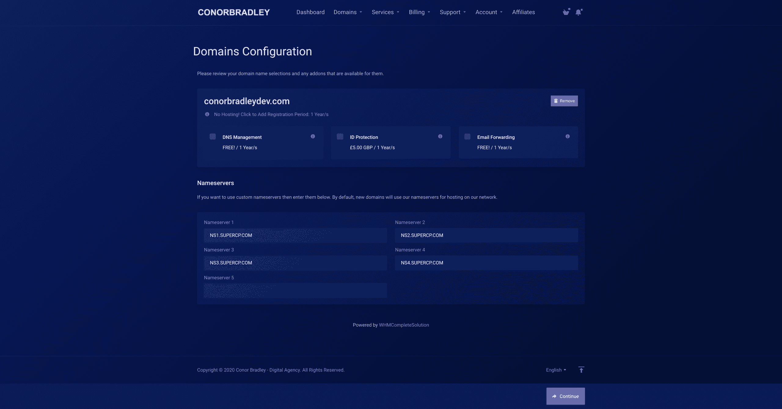 domains configuration page with domain addons and name servers conor bradley digital agency